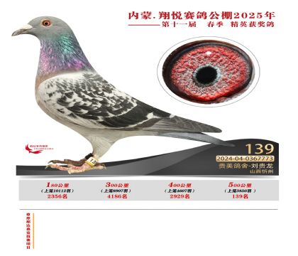 內(nèi)蒙古翔悅決賽139名
