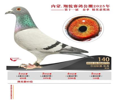 內(nèi)蒙古翔悅決賽140名