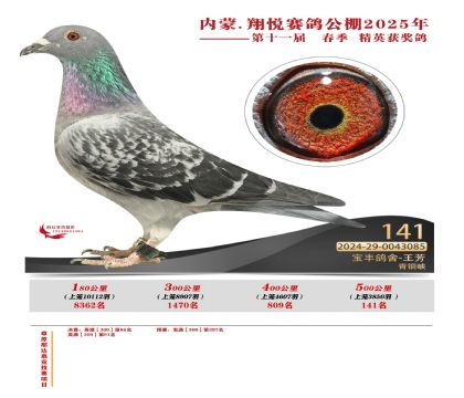 內(nèi)蒙古翔悅決賽141名