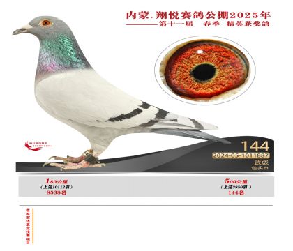 內(nèi)蒙古翔悅決賽144名