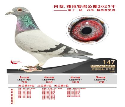 內(nèi)蒙古翔悅決賽147名