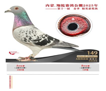 內(nèi)蒙古翔悅決賽149名