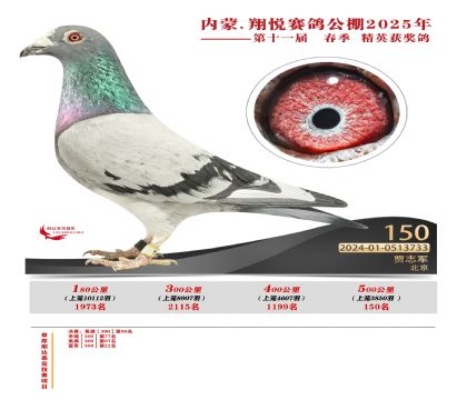 內(nèi)蒙古翔悅決賽150名