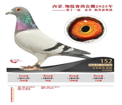 內(nèi)蒙古翔悅決賽152名
