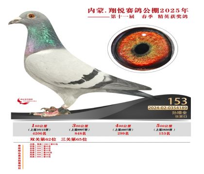 內(nèi)蒙古翔悅決賽153名