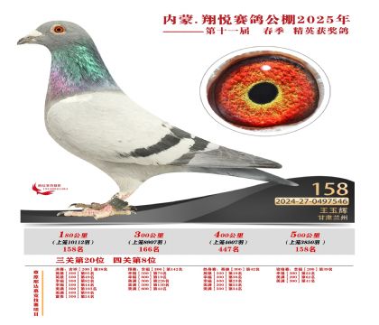 內(nèi)蒙古翔悅決賽158名