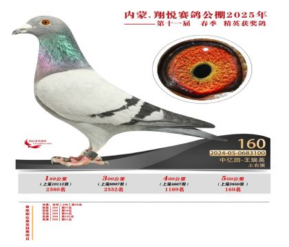 內(nèi)蒙古翔悅決賽160名