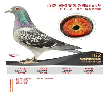 內(nèi)蒙古翔悅決賽162名