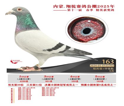 內(nèi)蒙古翔悅決賽163名