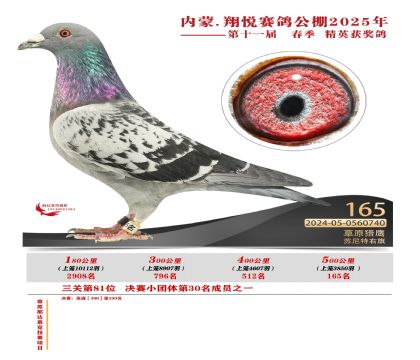 內(nèi)蒙古翔悅決賽165名