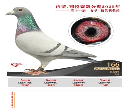 內(nèi)蒙古翔悅決賽166名