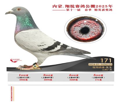 內(nèi)蒙古翔悅決賽171名