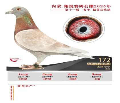 內(nèi)蒙古翔悅決賽172名