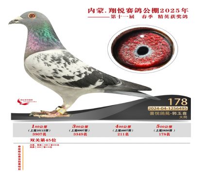 內(nèi)蒙古翔悅決賽178名