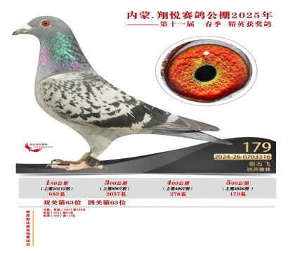 內(nèi)蒙古翔悅決賽179名