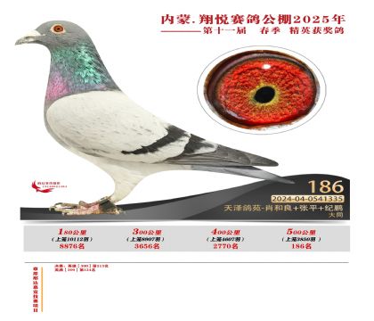 內(nèi)蒙古翔悅決賽186名