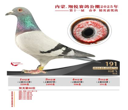 內(nèi)蒙古翔悅決賽191名