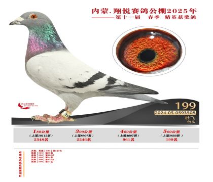 內(nèi)蒙古翔悅決賽199名