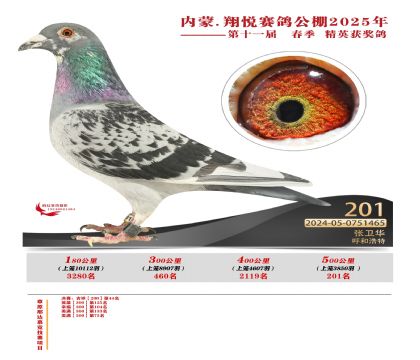 內(nèi)蒙古翔悅決賽201名