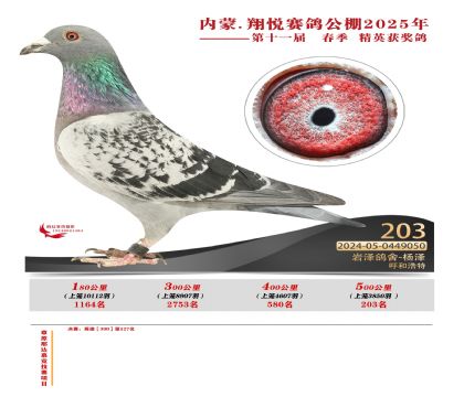 內(nèi)蒙古翔悅決賽203名