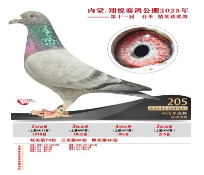 內(nèi)蒙古翔悅決賽205名