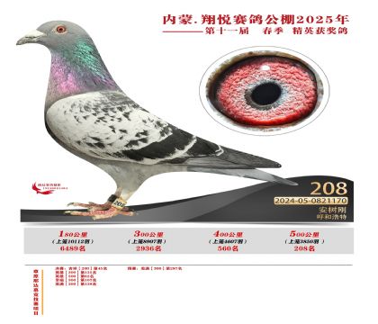 內(nèi)蒙古翔悅決賽208名