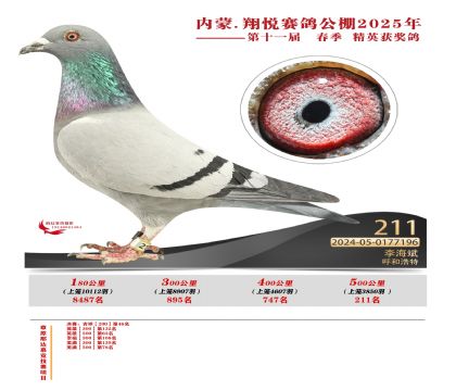 內(nèi)蒙古翔悅決賽211名