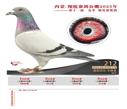 內(nèi)蒙古翔悅決賽212名