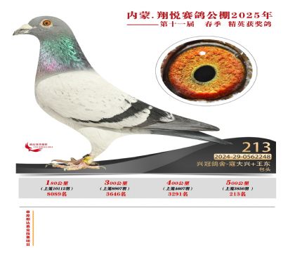 內(nèi)蒙古翔悅決賽213名