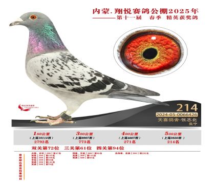 內(nèi)蒙古翔悅決賽214名