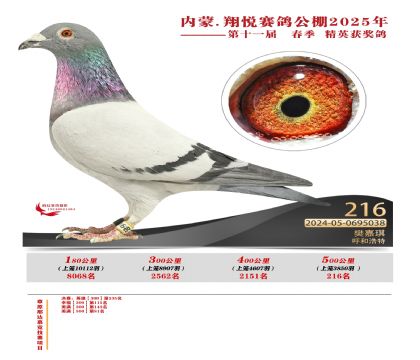 內(nèi)蒙古翔悅決賽216名