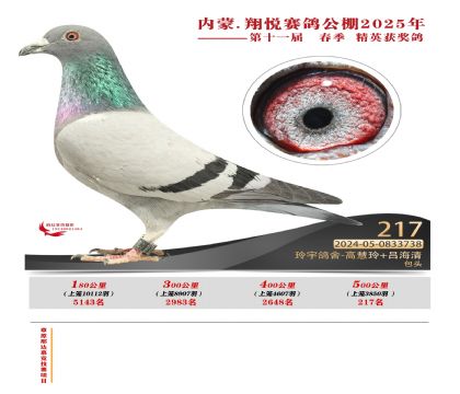 內(nèi)蒙古翔悅決賽217名