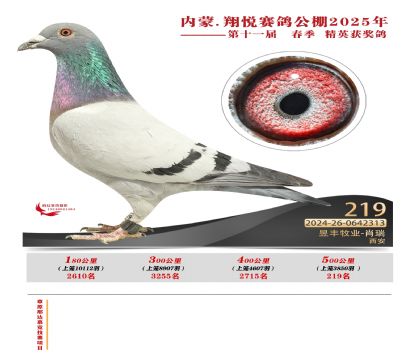 內(nèi)蒙古翔悅決賽219名