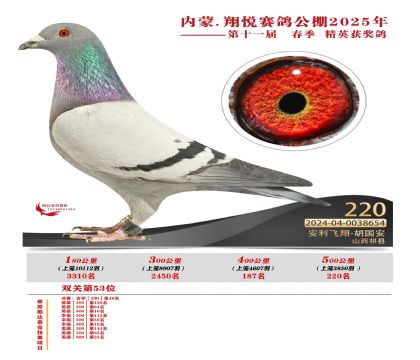 內(nèi)蒙古翔悅決賽220名