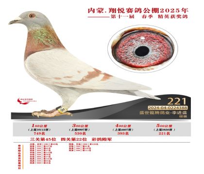 內(nèi)蒙古翔悅決賽221名