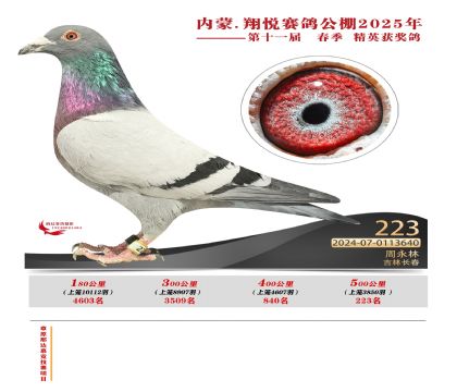 內(nèi)蒙古翔悅決賽223名