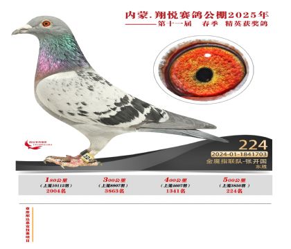 內(nèi)蒙古翔悅決賽224名