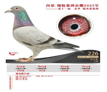 內(nèi)蒙古翔悅決賽226名