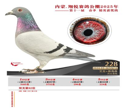 內(nèi)蒙古翔悅決賽228名
