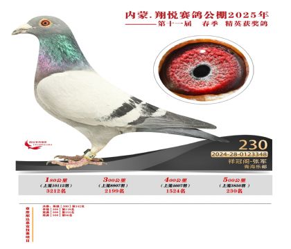 內(nèi)蒙古翔悅決賽230名