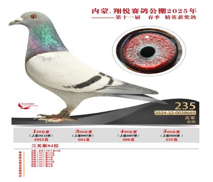 內(nèi)蒙古翔悅決賽235名