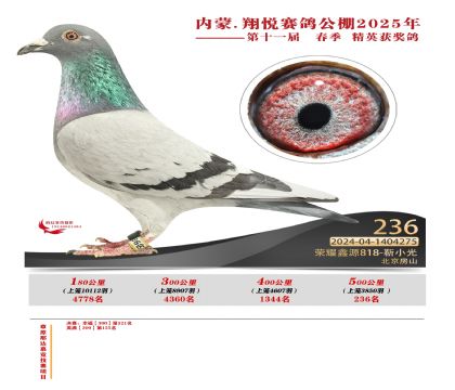 內(nèi)蒙古翔悅決賽236名