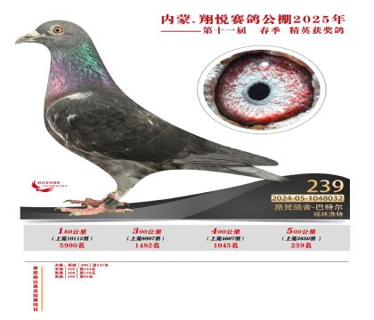 內(nèi)蒙古翔悅決賽239名