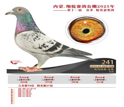 內(nèi)蒙古翔悅決賽241名