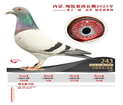內(nèi)蒙古翔悅決賽243名