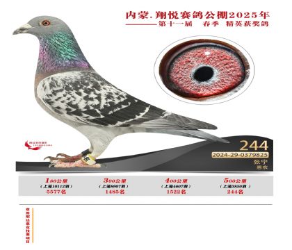 內(nèi)蒙古翔悅決賽244名
