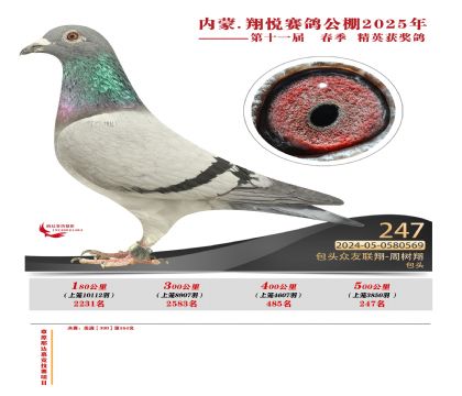 內(nèi)蒙古翔悅決賽247名