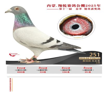 內(nèi)蒙古翔悅決賽251名