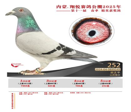 內(nèi)蒙古翔悅決賽252名