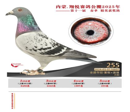 內(nèi)蒙古翔悅決賽255名